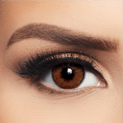 Layala lenses Avena Brown 2 lenses