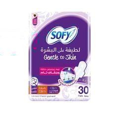 SOFY Gentle to Skin Slim  Large 29 cm with Wings 30 Pads