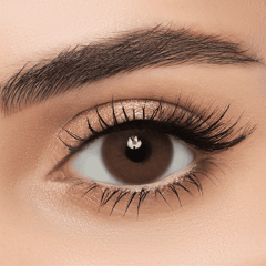 Lens Me Contact Lense Tea