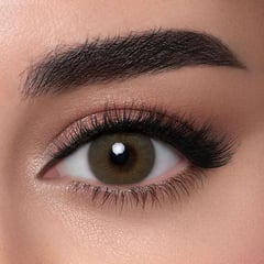 LENSME CONTACT LENSES PETROLEUM