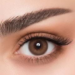 افل عدسات لاصقه يومية عود