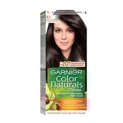 Garnier Color Natural Ashy Brown 4.1