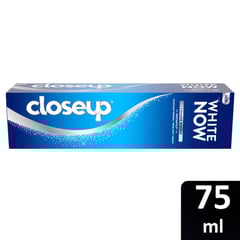 Closeup Toothpaste White Now Original 75Ml