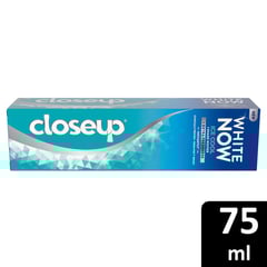 Closeup Toothpaste White Now Ice Cool 75Ml