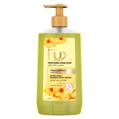 Lux Hand Wash Refreshing Verbena 500Ml