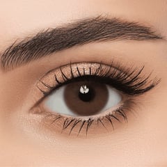 Lens Me Contact Lense Tea
