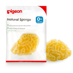 Pigeon Natural Sponge