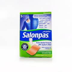 Salonpas Hot Patches 5 Pcs