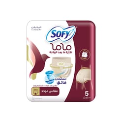 Sofy 53003 Mama Post Birth Panties (6X5)
سوفي فوط صحية بانتي للأم 5 قطع