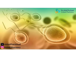 أعراض ضعف الحيوانات عند الرجل