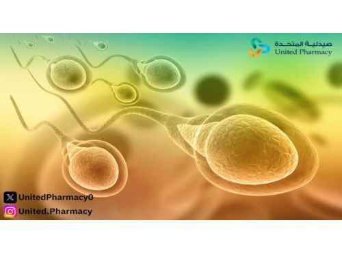 أعراض ضعف الحيوانات عند الرجل