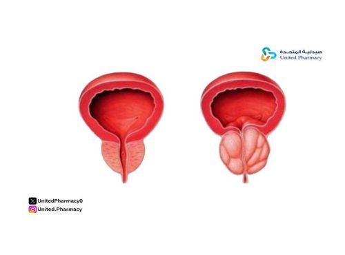 الفرق بين زاترال وأومنك