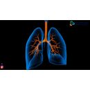 ما هو أفضل دواء طارد للبلغم وموسع للشعب الهوائية