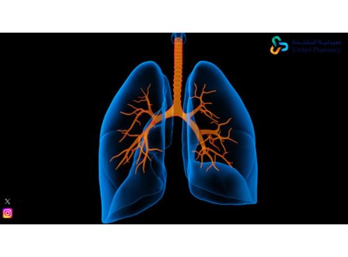 ما هو أفضل دواء طارد للبلغم وموسع للشعب الهوائية