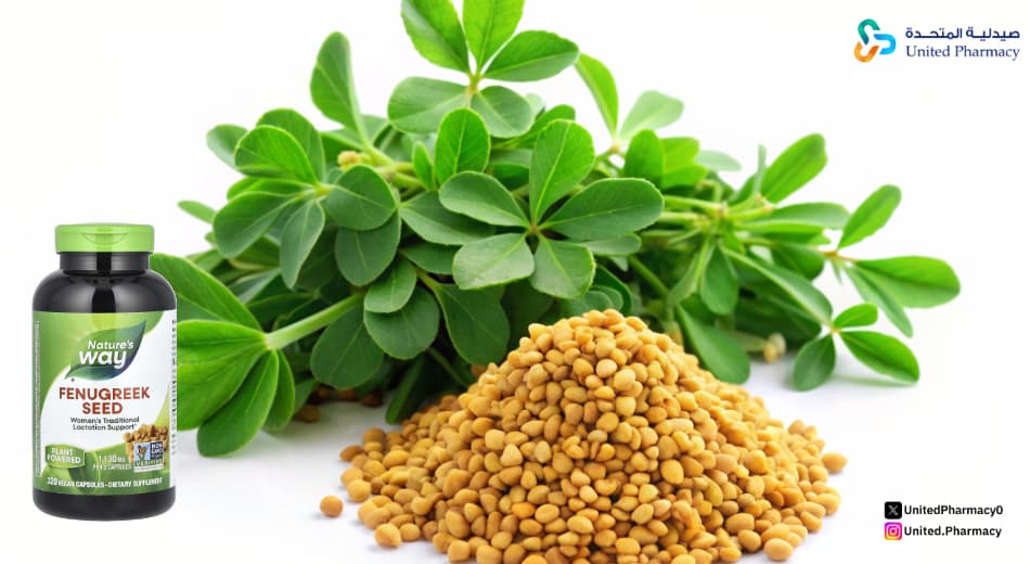 كيفية استعمال حبوب الحلبة؟