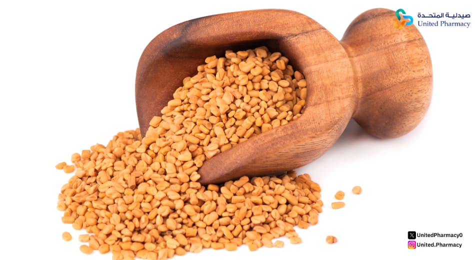 هل تناول الحلبة يوميا مضر؟