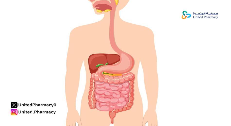 تجربتي مع دوسباتالين