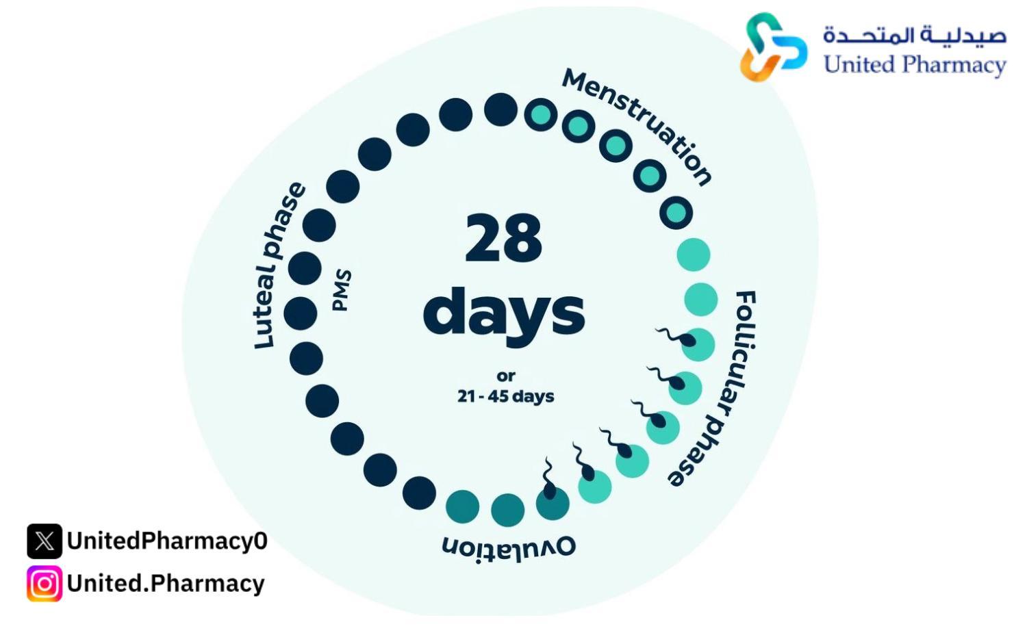 حبوب تنظيم الدورة تساعد على الحمل