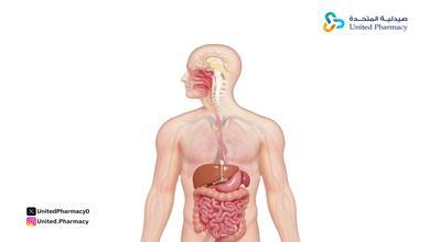 متى يبدأ مفعول نورماكول؟