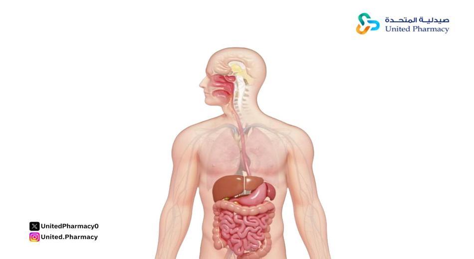 متى يبدأ مفعول نورماكول؟